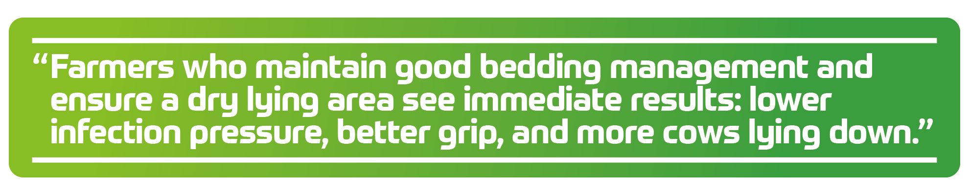 &ldquo;Farmers who maintain good bedding management and ensure a dry lying area see immediate results: lower infection pressure, better grip when standing up, and therefore more cows lying down.&rdquo;